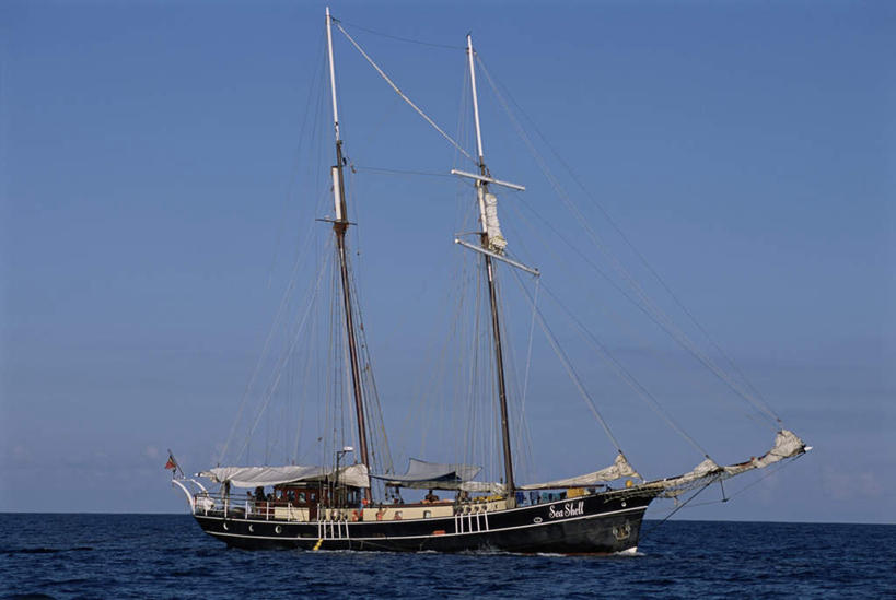 无人,横图,室外,白天,正面,旅游,度假,海浪,海洋,美景,轮船,船,非洲,塞舌尔,阴影,光线,影子,景观,浪花,水平线,辽阔,海平线,娱乐,蓝色,蓝天,天空,阳光,自然,海水,交通工具,天,享受,休闲,广阔,景色,放松,晴朗,一望无际,自然风光,载具,海景,塞舌尔共和国,万里无云,阿非利加洲,东非,无边无际,一马平川,马埃岛,大海,风浪,海,海水的波动,近岸浪,涌浪,晴空,晴空万里,彩图,水天相接,水天一线