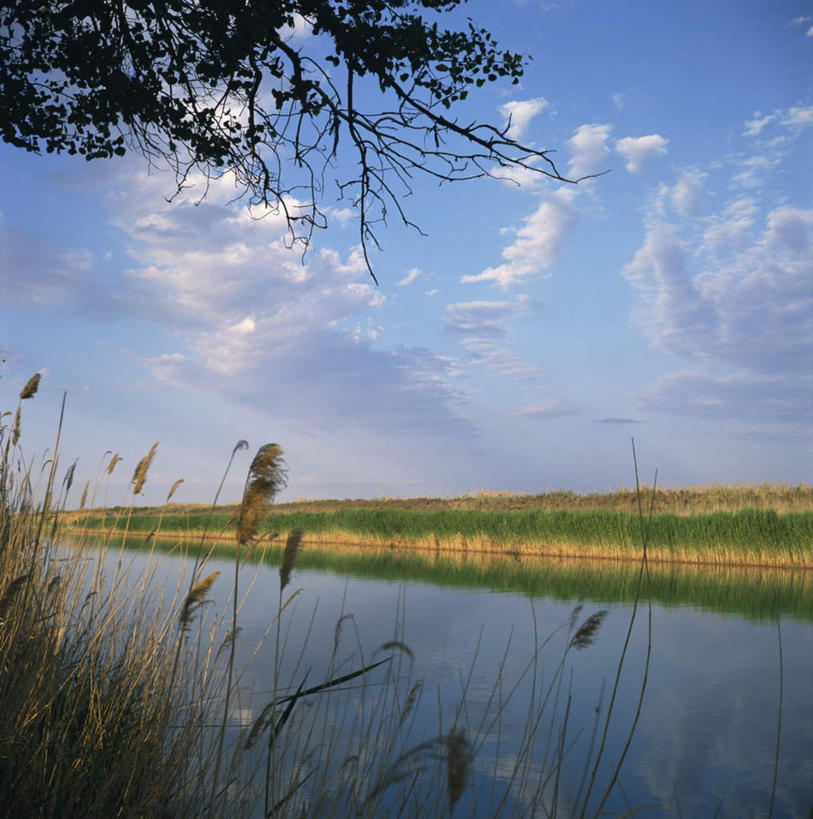 无人,农田,竖图,室外,白天,正面,旅游,度假,农业,庄稼,农作物,草地,草坪,湖,湖泊,美景,水,植物,叶子,土库曼斯坦,亚洲,阴影,光线,影子,稻田,湖面,景观,水流,水面,云,云朵,绿叶,云彩,娱乐,草,树,树木,蓝色,绿色,白云,倒影,蓝天,天空,阳光,自然,湖水,天,享受,休闲,嫩叶,景色,放松,生长,晴朗,成长,倒映,中亚,自然风光,反照,土库曼,叶,叶片,晴空,彩图,耕地,庄稼田