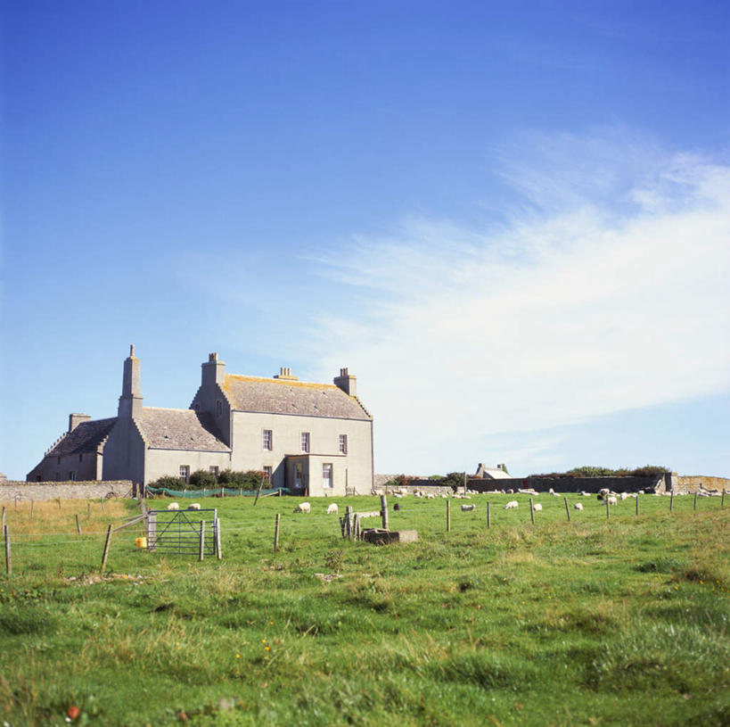 无人,家,栏杆,吃,横图,室外,白天,正面,旅游,度假,草地,草坪,植物,羊,英国,欧洲,许多,阴影,光线,影子,栅栏,房屋,屋子,篱笆,云,云朵,围栏,云彩,娱乐,护栏,楼房,苏格兰,住宅,草,树,树木,蓝色,绿色,白云,蓝天,天空,阳光,自然,动物,天,低头,享受,休闲,家畜,放松,牲畜,生长,晴朗,成长,西欧,大不列颠,大不列颠及北爱尔兰联合王国,垂头,大不列颠联合王国,日不落英帝国,苏格兰王国,奥克尼群岛,晴空,绵羊,嚼,食,彩图,全身,房子