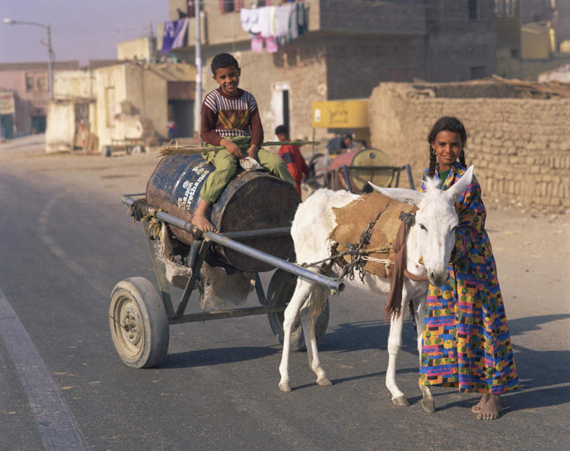 西方人,儿童,两个人,家,站,坐,笑,微笑,露齿笑,横图,室外,白天,正面,度假,纯洁,美景,城市风光,城市,道路,路,路灯,照明,欧洲,非洲,埃及,黑人,欧洲人,阴影,服装,光线,影子,房屋,墙,屋子,景观,围墙,小路,灯光,交通,注视,休闲装,娱乐,楼房,墙壁,墙面,住宅,车,灯,小孩,衣服,蓝色,蓝天,天空,阳光,动物,交通工具,天,观察,看,站着,享受,休闲,休闲服,家畜,景色,放松,可爱,童年,童趣,服饰,牲畜,晴朗,观看,照亮,察看,古埃及,照明设备,关注,载具,驴,童真,北非,烂漫,无邪,万里无云,驴车,阿拉伯埃及共和国,金字塔之国,棉花之国,阿非利加洲,驴子,天真,男孩,男人,男性,女孩,女人,女性,非洲人,晴空,晴空万里,站立,坐着,彩图,全身,房子,男生,女生