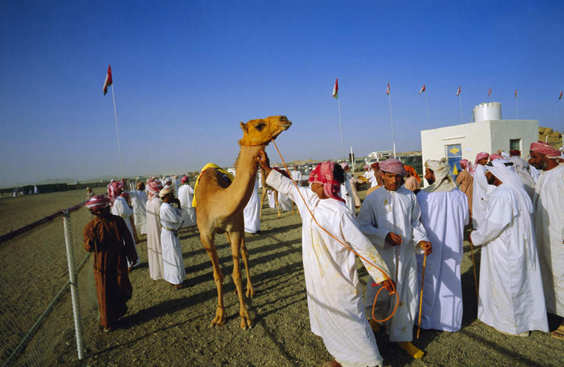 儿童,家,栏杆,站,横图,室外,白天,正面,锻炼,旅游,度假,快乐,比赛,运动,竞争,别墅,野生动物,金属制品,阿曼,亚洲,牵,阴影,服装,光线,金属,长袍,旗杆,头巾,影子,房屋,屋子,公寓,围栏,许多人,娱乐,洋房,护栏,楼房,骆驼,住宅,小孩,衣服,红色,蓝色,白色,蓝天,天空,阳光,动物,绳子,天,站着,一群人,享受,休闲,旅游胜地,放松,运输,服饰,晴朗,牵着,绳索,穆斯林,体育运动,衣着,穿着,西亚,户外运动,万里无云,沙漠之舟,衣饰,原驼,阿曼苏丹国,体育,男孩,男人,男性,旗,晴空,晴空万里,站立,彩图,全身,健身,房子,男生