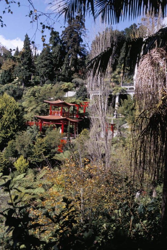 无人,家,竖图,室外,白天,正面,度假,美景,植物,城市风光,城市,叶子,非洲,阴影,光线,影子,房屋,亭子,屋子,景观,云,云朵,绿叶,云彩,娱乐,楼房,住宅,树,树木,蓝色,绿色,白云,蓝天,天空,阳光,自然,天,享受,休闲,嫩叶,景色,放松,生长,晴朗,成长,阿非利加洲,马德拉群岛,叶,叶片,晴空,彩图,房子