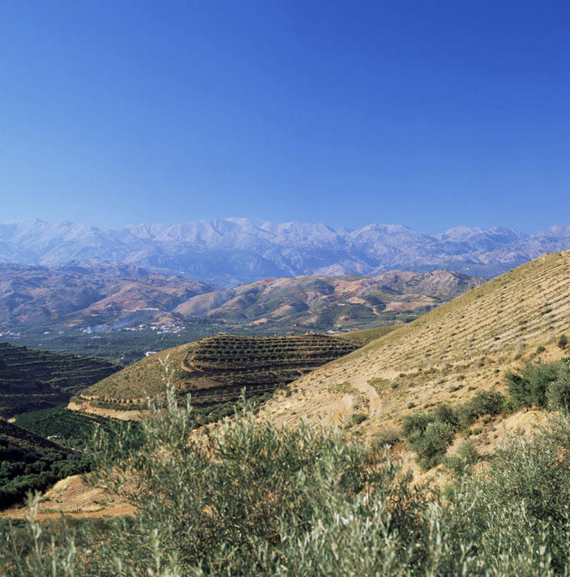 无人,农田,竖图,俯视,室外,白天,旅游,度假,庄稼,梯田,农作物,草地,草坪,美景,山,山脉,植物,希腊,欧洲,阴影,曲折,弯曲,光线,影子,景观,山峰,山峦,娱乐,草,树,树木,蓝色,绿色,蓝天,天空,阳光,自然,群山,天,享受,休闲,景色,放松,蜿蜒,生长,晴朗,成长,连绵,绵延,自然风光,多德卡尼斯群岛,希腊共和国,万里无云,绵亘,南斯波拉提群岛,晴空,晴空万里,彩图,高角度拍摄,耕地,庄稼田