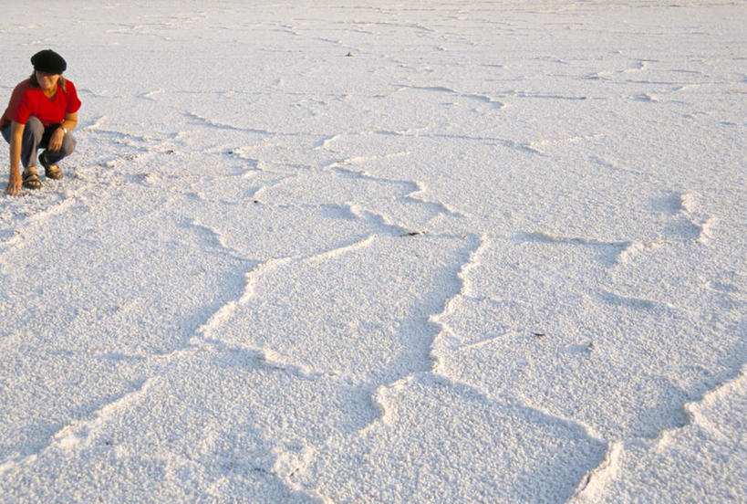 西方人,一个人,蹲,摸,横图,俯视,室外,白天,旅游,度假,美景,帽子,欧洲,非洲,吉布提,黑人,欧洲人,仅一个女性,仅一个人,许多,抚摸,阴影,服装,光线,影子,景观,调料,盐,调味品,很多,调味料,注视,休闲装,娱乐,食盐,衣服,阳光,自然,遮阳帽,观察,看,仅一个中年女性,享受,休闲,休闲服,景色,放松,服饰,观看,察看,关注,自然风光,阿非利加洲,东非,吉布提共和国,盐田,女人,女性,中年女性,非洲人,触摸,蹲着,接触,彩图,高角度拍摄,全身