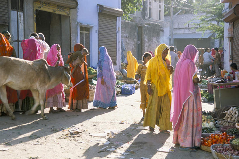 家,站,抱,交叉,横图,室外,白天,正面,度假,美景,窗户,门,城市风光,城市,竹子,牛,蔬菜,水果,印度,亚洲,一头,许多,阴影,竹制,服装,新鲜,编织,光线,篮子,影子,房屋,墙,屋子,景观,生食,食品,果实,市场,很多,许多人,注视,休闲装,娱乐,楼房,玻璃窗,墙壁,墙面,住宅,食物,衣服,阳光,动物,竹篮,门框,观察,看,站着,一群人,享受,休闲,休闲服,家畜,景色,放松,服饰,牲畜,有机食品,绿色食品,抱着,观看,卷帘门,竹条,交织,察看,竹制品,搂着,关注,南亚,斋浦尔,拉贾斯坦,拉贾普达那,拉贾斯丹,穿插,女人,女性,中年女性,亚洲人,印度人,怀抱,搂,搂抱,相抱,拥抱,站立,彩图,全身,房子
