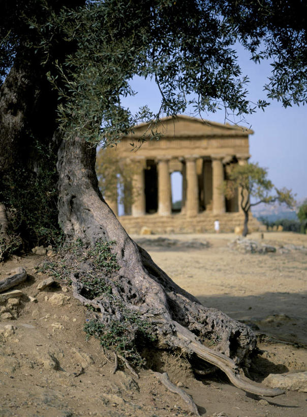 无人,竖图,室外,白天,仰视,旅游,度假,石头,名胜古迹,植物,楼梯,标志建筑,城市,地标,建筑,叶子,美国,一排,阴影,遗迹,整齐,并列,并排,光线,石子,影子,柱子,阶梯,云,云朵,绿叶,树根,云彩,古迹,文物,娱乐,建设,古建筑,废墟,台阶,树,树木,排列,蓝色,绿色,白云,蓝天,天空,阳光,自然,天,享受,休闲,嫩叶,旅游胜地,放松,生长,晴朗,成长,北美,北美洲,队列,美洲,平行,古文明,首府,新罕布什尔州,北亚美利加洲,亚美利加洲,新罕布什尔,新罕布夏州,花岗岩州,花冈岩之州,滑雪之州,康科德,康都特,康考特,叶,叶片,石块,岩石,晴空,彩图,低角度拍摄