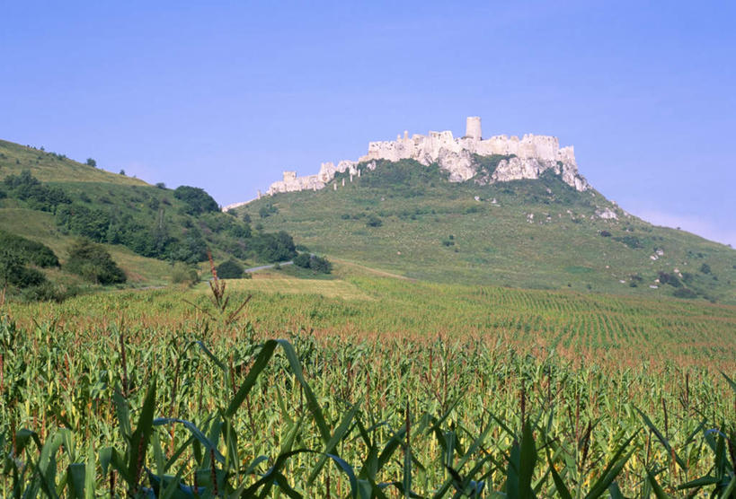 无人,农田,横图,室外,白天,仰视,旅游,度假,庄稼,农作物,草地,草坪,美景,山,山脉,植物,欧洲,斯洛伐克,阴影,丰富,丰收,朦胧,模糊,光线,影子,景观,山峰,山峦,丰盛,娱乐,废墟,草,树,树木,蓝色,绿色,蓝天,天空,阳光,自然,群山,天,享受,休闲,景色,放松,生长,晴朗,成长,自然风光,中欧,万里无云,斯洛伐克共和国,丰登,丰硕,晴空,晴空万里,彩图,低角度拍摄,耕地,庄稼田