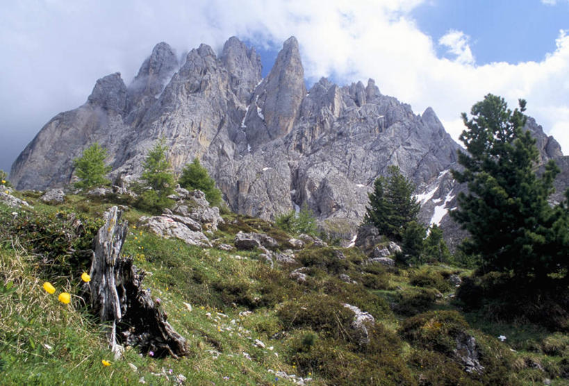 无人,横图,室外,白天,仰视,旅游,度假,草地,草坪,石头,美景,山,山脉,植物,意大利,欧洲,阴影,盛开,光线,石子,影子,景观,山峰,云,云朵,山峦,花蕾,云彩,娱乐,草,花,花瓣,花朵,鲜花,树,树木,蓝色,绿色,白云,蓝天,天空,阳光,自然,群山,天,花苞,花蕊,享受,休闲,景色,放松,生长,晴朗,成长,南欧,自然风光,意大利共和国,特伦蒂诺.上阿迪杰大区,多罗迈特山,石块,岩石,晴空,彩图,低角度拍摄
