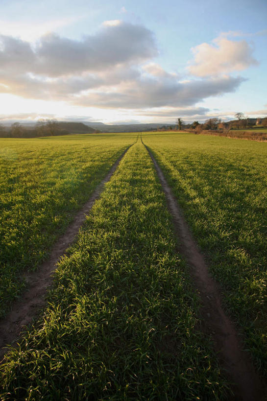 无人,农田,竖图,俯视,室外,白天,旅游,度假,庄稼,农作物,美景,英国,欧洲,一排,阴影,丰富,丰收,整齐,光线,影子,景观,泥土,土壤,云,云朵,丰盛,云彩,娱乐,英格兰,排列,蓝色,白云,蓝天,天空,阳光,自然,天,享受,休闲,景色,放松,晴朗,西欧,队列,自然风光,大不列颠,大不列颠及北爱尔兰联合王国,首府,大不列颠联合王国,日不落英帝国,丰登,丰硕,英吉利,赫里福德郡,赫里福德,晴空,彩图,高角度拍摄,耕地,庄稼田