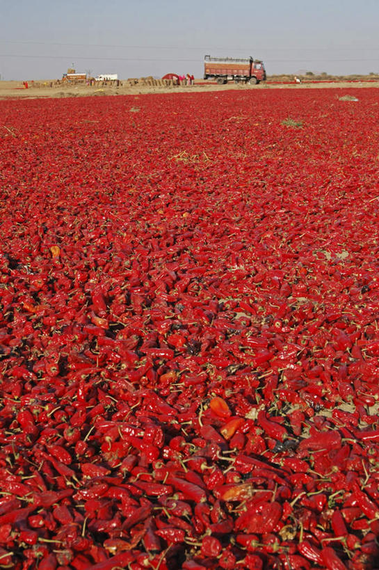 无人,竖图,室外,白天,正面,旅游,度假,海浪,海洋,卡车,汽车,辣椒,许多,阴影,光线,影子,浪花,调味,香料,佐料,很多,娱乐,车,阳光,海水,交通工具,享受,休闲,放松,晒,配料,载具,海景,辣角,红海椒,大椒,辣虎,广椒,作料,大海,风浪,海,海水的波动,近岸浪,涌浪,辣子,红辣椒,海椒,番椒,彩图