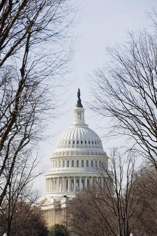 无人,竖图,室外,白天,仰视,旅游,度假,植物,标志建筑,地标,建筑,美国,一排,阴影,整齐,壮观,光线,影子,柱子,首都,娱乐,建设,国会大厦,树,树木,排列,蓝色,绿色,蓝天,天空,阳光,自然,天,享受,休闲,旅游胜地,放松,生长,晴朗,成长,北美,北美洲,壮丽,队列,美洲,华盛顿特区,国会大楼,万里无云,华盛顿哥伦比亚特区,华府,华盛顿国会大厦,议会大厦,议会大楼,首都大厦,州议会大厦,州政府,州会议厅,北亚美利加洲,亚美利加洲,晴空,晴空万里,彩图,低角度拍摄