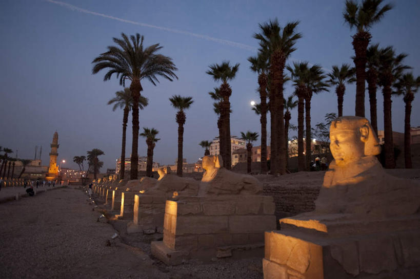 无人,横图,室外,夜晚,仰视,旅游,度假,名胜古迹,日落,植物,地标,棕榈树,叶子,非洲,埃及,许多,遗迹,晚霞,霞光,落日,绿叶,神庙,古迹,历史,文物,娱乐,古建筑,废墟,树,树木,排列,绿色,自然,黄昏,享受,休闲,嫩叶,旅游胜地,彩霞,放松,生长,成长,神殿,古埃及,古文明,北非,棕榈叶,卢克索神庙,路克索神殿,鲁克索神殿,古代七大奇迹,阿拉伯埃及共和国,金字塔之国,棉花之国,阿非利加洲,摆列,夕照,叶,叶片,夕阳,彩图,低角度拍摄,布列,分列,斜阳,标志性建筑