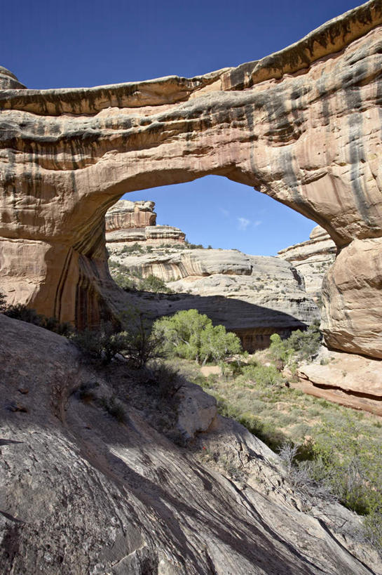 无人,公园,竖图,室外,白天,仰视,旅游,度假,草地,草坪,石头,美景,山,山脉,植物,美国,阴影,光线,石子,影子,景观,山峰,山峦,娱乐,草,蓝色,绿色,蓝天,天空,阳光,自然,群山,天,享受,休闲,景色,放松,晴朗,北美,北美洲,国家公园,犹他州,自然风光,美洲,万里无云,北亚美利加洲,亚美利加洲,犹他,蜂窝之州,蜂房州,天然桥国家公园,天然桥国家保护区,石块,岩石,晴空,晴空万里,彩图,低角度拍摄