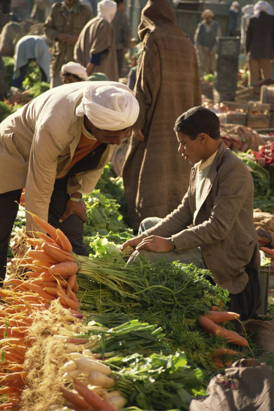 西方人,儿童,站,坐,走,竖图,俯视,室外,白天,民族服装,旅游,度假,标志建筑,地标,建筑,萝卜,胡萝卜,蔬菜,欧洲,非洲,阿尔及尔,阿尔及利亚,黑人,欧洲人,一堆,阴影,堆叠,堆积,新鲜,光线,头巾,影子,食品,首都,许多人,娱乐,货摊,建设,食物,小孩,白色,阳光,站着,一群人,享受,休闲,旅游胜地,放松,有机食品,绿色食品,堆,阿非利加洲,阿尔及利亚民主人民共和国,男孩,男人,男性,非洲人,红萝卜,甘荀,步行,散步,站立,走路,坐着,彩图,高角度拍摄,全身,传统服装,民俗服,男生