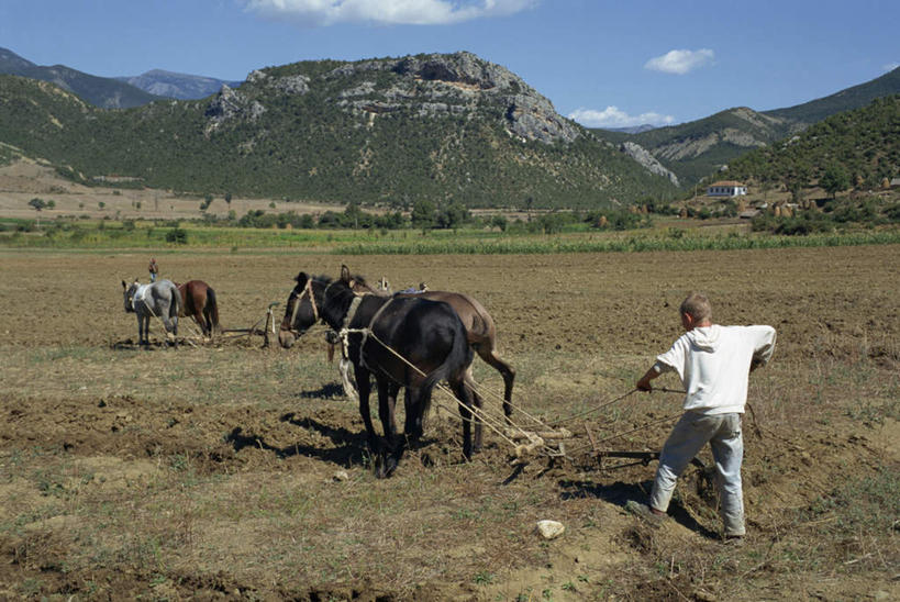 西方人,一个人,家,农田,拉,横图,室外,白天,正面,旅游,度假,庄稼,农作物,草地,草坪,山,山脉,植物,马,野生动物,欧洲,阿尔巴尼亚,欧洲人,仅一个男性,仅一个人,阴影,服装,光线,影子,房屋,屋子,耕田,犁田,山峰,云,云朵,山峦,云彩,休闲装,娱乐,楼房,住宅,草,树,树木,仅一个年轻男性,衣服,蓝色,绿色,白色,白云,蓝天,天空,阳光,自然,动物,群山,天,享受,休闲,休闲服,放松,运输,服饰,牲畜,生长,晴朗,成长,南欧,种田,农具,犁,耕具,阿尔巴尼亚共和国,男人,男性,年轻男性,白种人,晴空,彩图,全身,耕地,庄稼田,房子
