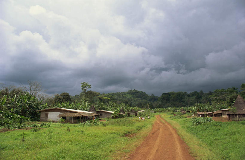 无人,家,横图,俯视,室外,白天,旅游,度假,草地,草坪,美景,植物,道路,路,非洲,喀麦隆,房屋,屋子,景观,乌云,云,阴天,云朵,小路,交通,云彩,娱乐,楼房,住宅,草,树,树木,绿色,天空,自然,天,享受,休闲,景色,放松,生长,成长,昏暗,阴沉,自然风光,阿非利加洲,喀麦隆共和国,彩图,高角度拍摄,房子