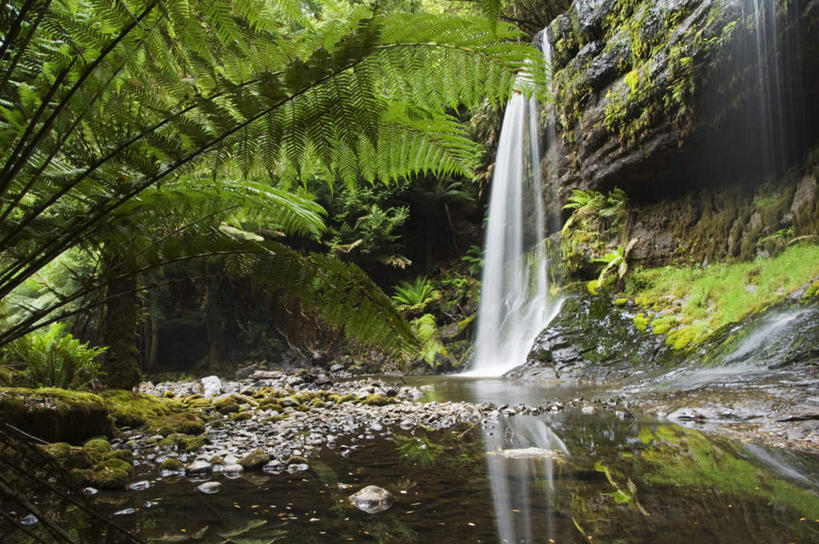 无人,横图,室外,白天,正面,旅游,度假,草地,草坪,河流,石头,美景,瀑布,水,植物,叶子,澳大利亚,阴影,飞溅,溅,光线,石子,液体,影子,河水,景观,水滴,水流,绿叶,娱乐,水珠,草,树,树木,绿色,小溪,阳光,自然,溪水,享受,休闲,嫩叶,景色,放松,生长,成长,喷洒,自然风光,大洋洲,塔斯马尼亚,澳洲,沉积岩,南方大陆,澳大利亚联邦,塔斯马尼亚州,水成岩,塔斯马尼亚岛,叶,叶片,跌水,石块,岩石,彩图