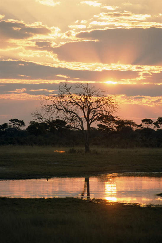 无人,公园,竖图,室外,白天,正面,旅游,度假,草地,草坪,湖,湖泊,美景,日落,水,植物,非洲,津巴布韦,波纹,湖面,景观,水流,水面,晚霞,霞光,落日,涟漪,娱乐,草,树,树木,绿色,倒影,水纹,自然,黄昏,波浪,湖水,享受,休闲,景色,彩霞,放松,生长,成长,倒映,国家公园,自然风光,水晕,阿非利加洲,津巴布韦共和国,万盖国家公园,辛巴威,夕照,反照,夕阳,彩图,斜阳