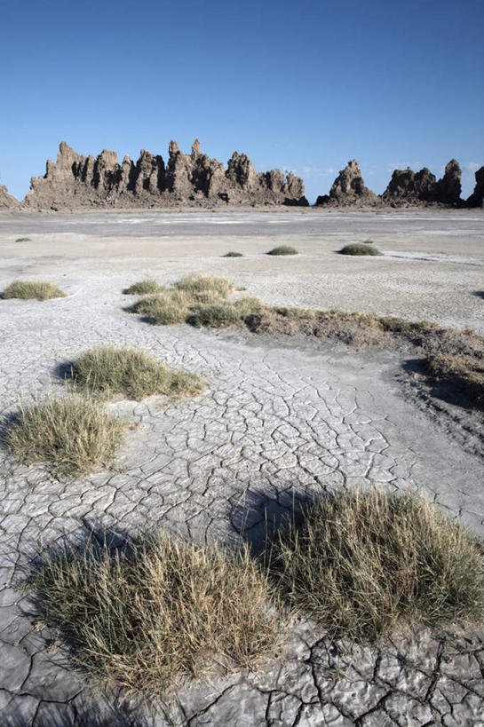 无人,竖图,室外,白天,正面,旅游,度假,草地,草坪,石头,美景,沙漠,山,山脉,植物,非洲,吉布提,阴影,光线,石子,影子,景观,山峰,山峦,娱乐,草,蓝色,绿色,蓝天,天空,阳光,自然,群山,天,享受,休闲,景色,放松,晴朗,自然风光,万里无云,阿非利加洲,东非,吉布提共和国,大漠,砂漠,石块,岩石,晴空,晴空万里,彩图