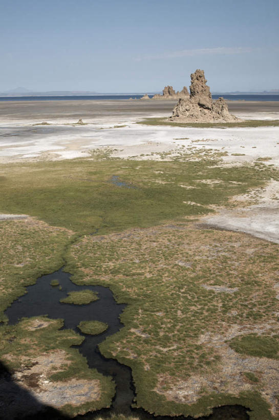 无人,竖图,室外,白天,正面,旅游,度假,草地,草坪,石头,美景,山,山脉,植物,非洲,吉布提,阴影,光线,石子,影子,景观,山峰,山峦,娱乐,草,蓝色,绿色,蓝天,天空,阳光,自然,群山,天,享受,休闲,景色,放松,晴朗,连绵,绵延,自然风光,万里无云,阿非利加洲,东非,绵亘,吉布提共和国,石块,岩石,晴空,晴空万里,彩图