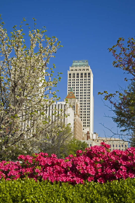 无人,家,高楼大厦,竖图,全景,室外,白天,仰视,度假,幸福,纯洁,美景,天际线,植物,城市风光,标志建筑,城市,大厦,地标,建筑,摩天大楼,樱花,美国,阴影,盛开,光线,影子,房屋,屋子,景观,公寓,花蕾,娱乐,建设,洋房,楼房,住宅,花,花瓣,花朵,鲜花,树,树木,蓝色,绿色,蓝天,天空,阳光,自然,天,花苞,花蕊,享受,休闲,景色,放松,生长,晴朗,成长,等待,北美,北美洲,生命,美洲,万里无云,北亚美利加洲,亚美利加洲,仙樱花,福岛樱,青肤樱,高尚,俄克拉何马,俄克拉何马州,俄克拉荷马州,奥克拉荷马,抢先之州,世界油都,石油城,热烈,塔尔萨,塔尔萨市,晴空,晴空万里,荆桃,彩图,低角度拍摄,房子,大楼,高层建筑,高楼,摩天楼