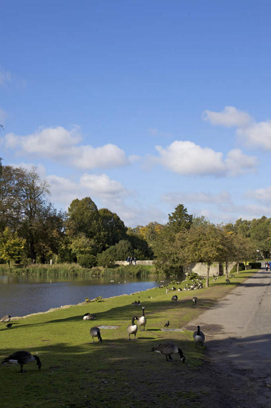 西方人,走,竖图,室外,白天,正面,旅游,度假,草地,草坪,河流,石头,美景,水,植物,道路,路,鸟,英国,欧洲,欧洲人,五个人,一群,许多,阴影,服装,光线,鸟类,鸭,石子,影子,河水,景观,水流,云,云朵,小路,桥,交通,很多,许多人,云彩,注视,休闲装,娱乐,石桥,家禽,利兹城堡,拱桥,栈桥,草,树,树木,衣服,蓝色,绿色,白云,倒影,蓝天,天空,阳光,自然,动物,天,观察,看,一群人,享受,休闲,休闲服,景色,放松,服饰,牲畜,乡间小路,拱形,生长,晴朗,成长,观看,人行桥,石拱桥,察看,倒映,西欧,关注,自然风光,大不列颠,大不列颠及北爱尔兰联合王国,肯特郡,大不列颠联合王国,日不落英帝国,反照,利兹堡,梅德斯通,男人,男性,年轻男性,年轻女性,女人,女性,白种人,石块,晴空,步行,散步,走路,彩图,全身