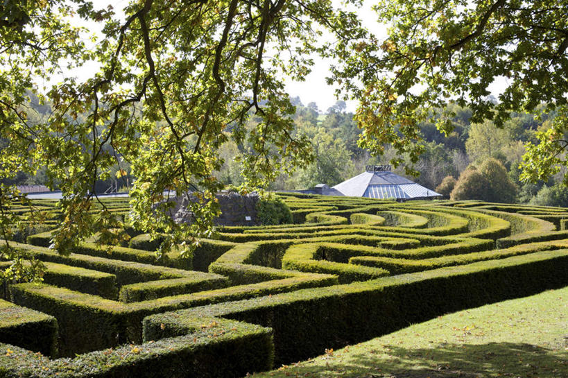 无人,横图,室外,白天,正面,旅游,度假,游戏,美景,植物,叶子,英国,欧洲,阴影,环保,光线,影子,景观,枯叶,落叶,防护,玩,娱乐,利兹城堡,树,树木,蓝色,绿色,蓝天,天空,阳光,自然,天,享受,休闲,景色,放松,益智,生长,晴朗,成长,活动,西欧,发泄,美好,美妙,消遣,智力,自然风光,间隔,迷宫,大不列颠,大不列颠及北爱尔兰联合王国,万里无云,肯特郡,宣泄,美观,雅观,大不列颠联合王国,日不落英帝国,绿篱,生篱,树篱,植篱,利兹堡,梅德斯通,叶,叶片,晴空,晴空万里,玩耍,嬉戏,彩图