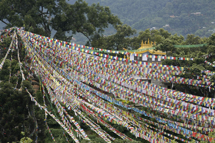 无人,寺庙,横图,俯视,室外,白天,旅游,度假,树林,植物,标志建筑,地标,建筑,旗帜,尼泊尔,亚洲,吊挂,悬挂,阴影,节日,朦胧,模糊,光线,影子,首都,燃烧,挂,文化,娱乐,旗子,建设,树,树木,排列,绿色,阳光,自然,香火,庙宇,祈祷,享受,休闲,健康,旅游胜地,放松,许愿,宗教,信仰,生长,成长,纪念,祈求,南亚,加德满都,苏瓦扬布拿佛塔,尼泊尔王国,加都,旌旗,旗号,摆列,德满都,四眼天神庙,平安,彩图,高角度拍摄,庙,寺,布列,分列