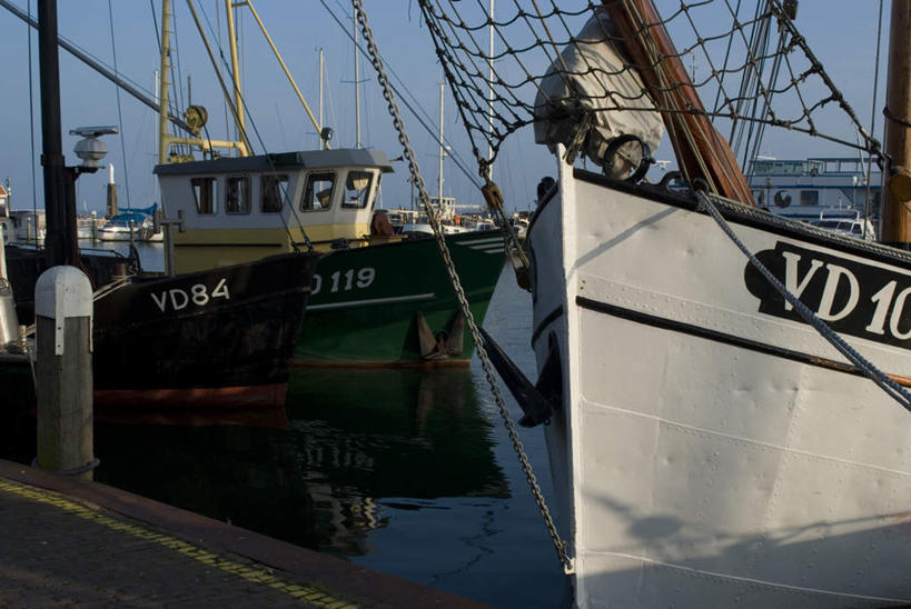 帆船,无人,码头,横图,室外,白天,正面,旅游,度假,河流,水,港口,船,欧洲,荷兰,许多,停靠,阴影,波纹,朦胧,模糊,光线,影子,河水,水流,涟漪,娱乐,蓝色,倒影,蓝天,水纹,天空,阳光,绳子,交通工具,波浪,天,享受,休闲,放松,晴朗,绳索,倒映,西欧,停泊,载具,万里无云,水晕,荷兰王国,尼德兰王国,反照,福伦丹,沃伦丹,晴空,晴空万里,彩图,摆渡口,埠头,渡口,渡头,港湾,海港,货运码头,口岸,商港