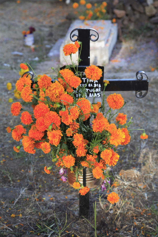 无人,竖图,俯视,室外,特写,白天,爱情,旅游,度假,墨西哥,阴影,朦胧,模糊,盛开,光线,英文,标志,十字架,文字,影子,字符,字母,花蕾,娱乐,标识,花,花瓣,花朵,鲜花,阳光,花苞,花蕊,享受,休闲,墓地,菊花,放松,英文字母,吉祥,北美,北美洲,美洲,坟场,米却肯,高洁,北亚美利加洲,亚美利加洲,长寿,墨西哥合众国,仙人掌王国,怀恋,清净,真情,寿客,秋菊,米却肯州,彩图,高角度拍摄