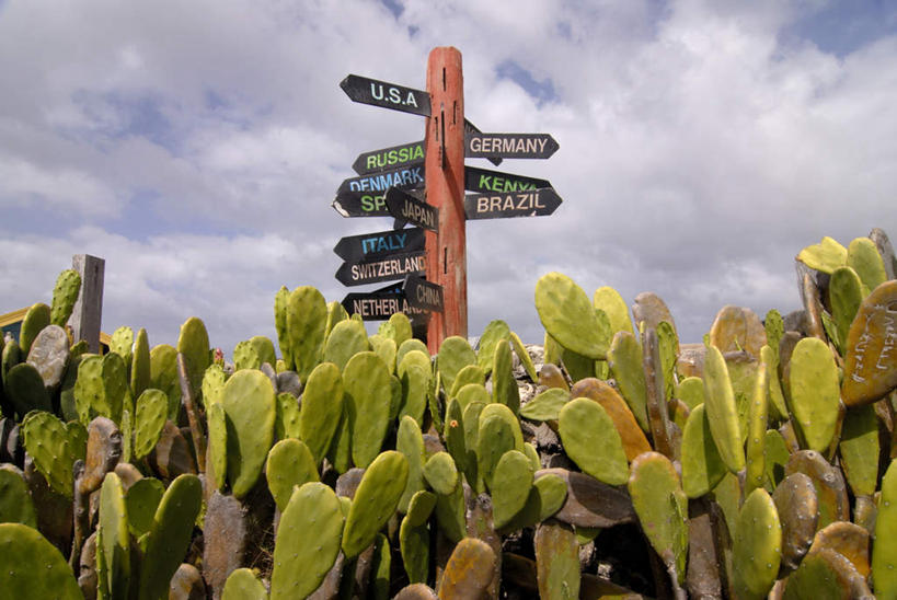 无人,横图,室外,白天,仰视,旅游,度假,美景,植物,仙人掌,巴巴多斯,许多,阴影,朦胧,模糊,光线,英文,标志,火焰,文字,影子,字符,字母,景观,云,云朵,草药,云彩,方向,娱乐,标识,中药,蓝色,白云,蓝天,天空,阳光,自然,天,享受,休闲,景色,放松,晴朗,英文字母,北美,北美洲,自然风光,美洲,药材,中草药,中药材,本草,牛舌头,北亚美利加洲,亚美利加洲,目的,巴巴多斯共和国,偏向,标的,晴空,玉芙蓉,仙巴掌,火掌,霸王树,彩图,低角度拍摄