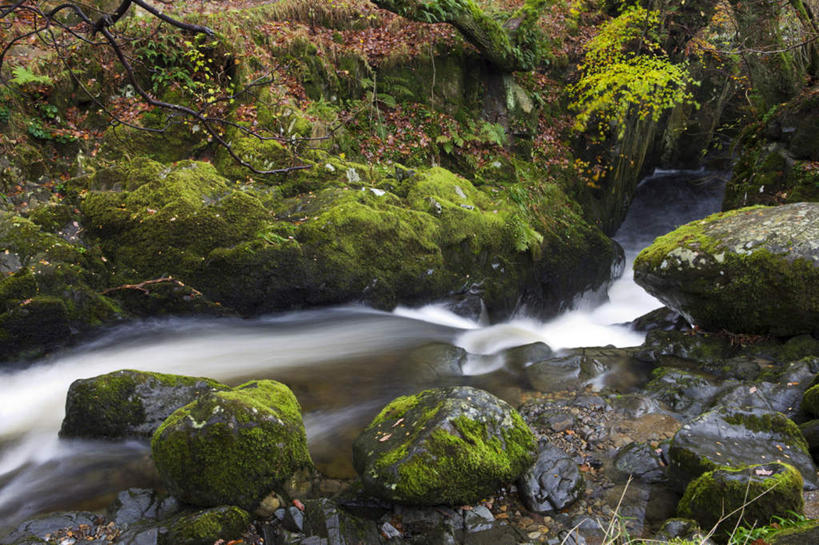 无人,公园,横图,俯视,室外,白天,长时间曝光,旅游,度假,河流,石头,美景,山,山脉,水,植物,英国,欧洲,阴影,朦胧,模糊,光线,石子,影子,河水,景观,山峰,水流,青苔,苔藓,枝条,山峦,娱乐,英格兰,树,树木,树枝,小溪,阳光,自然,群山,溪水,享受,休闲,景色,放松,国家公园,西欧,自然风光,大不列颠,曝光,大不列颠及北爱尔兰联合王国,大不列颠联合王国,日不落英帝国,英吉利,虬枝,枝杈,暴光,湖区国家公园,英国湖区国家公园,石块,岩石,彩图,高角度拍摄