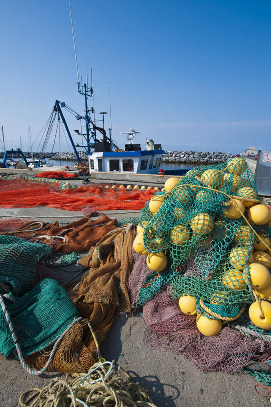 无人,码头,竖图,俯视,室外,白天,旅游,度假,渔业,海浪,海洋,沙滩,港口,轮船,船,加拿大,一排,许多,阴影,整齐,光线,沙子,影子,海岸,浪花,沙地,很多,娱乐,排列,蓝色,蓝天,天空,阳光,海水,交通工具,天,享受,休闲,放松,渔网,晴朗,渔具,北美,北美洲,队列,抓捕,载具,美洲,捕捞,鱼网,海景,万里无云,拉网,捕捞工具,北亚美利加洲,亚美利加洲,魁北克省,大海,风浪,海,海水的波动,海滩,近岸浪,涌浪,晴空,晴空万里,彩图,高角度拍摄,摆渡口,埠头,渡口,渡头,港湾,海港,货运码头,口岸,商港