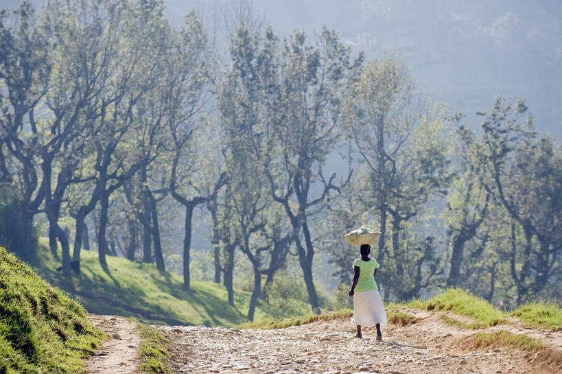 西方人,一个人,站,交叉,横图,室外,白天,旅游,度假,草地,草坪,美景,树林,植物,道路,路,竹子,欧洲,非洲,海地,黑人,欧洲人,仅一个女性,仅一个人,阴影,竹制,服装,朦胧,模糊,编织,光线,篮子,影子,景观,小路,交通,顶,注视,休闲装,娱乐,草,树,树木,一个,背面,衣服,绿色,阳光,自然,竹篮,观察,看,站着,仅一个中年女性,享受,休闲,休闲服,景色,放松,服饰,生长,单个,成长,观看,竹条,交织,察看,北美,竹制品,北美洲,关注,自然风光,美洲,北亚美利加洲,亚美利加洲,穿插,海地共和国,太子港,女人,女性,中年女性,非洲人,站立,彩图,全身