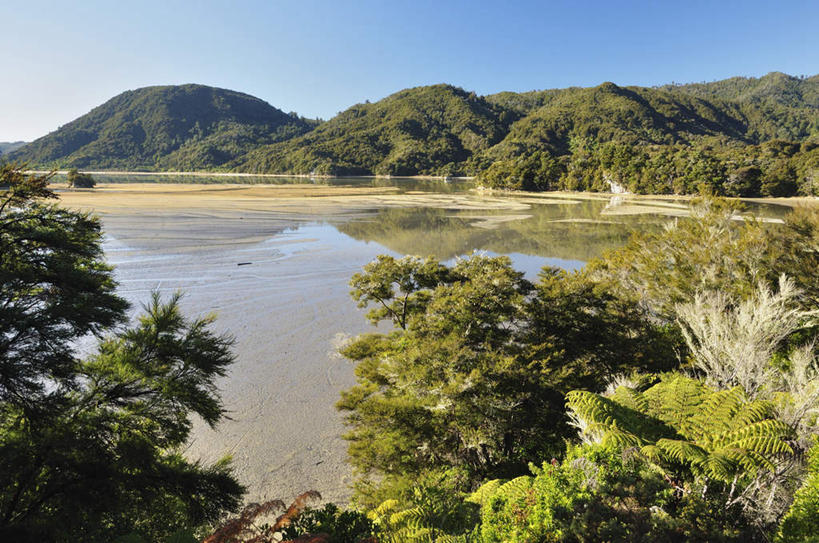 无人,公园,横图,室外,白天,正面,旅游,度假,湖,湖泊,石头,美景,森林,山,山脉,树林,水,植物,新西兰,阴影,波纹,光线,石子,影子,湖面,景观,山峰,水流,水面,涟漪,山峦,娱乐,树,树木,蓝色,绿色,倒影,蓝天,水纹,天空,阳光,自然,波浪,湖水,群山,天,享受,休闲,景色,放松,生长,晴朗,成长,倒映,国家公园,自然风光,大洋洲,万里无云,水晕,纽西兰,长白云之乡,阿贝尔.塔斯曼国家公园,艾贝尔塔斯曼国家公园,新西兰南岛,反照,亚伯塔斯曼国家公园,石块,岩石,晴空,晴空万里,彩图