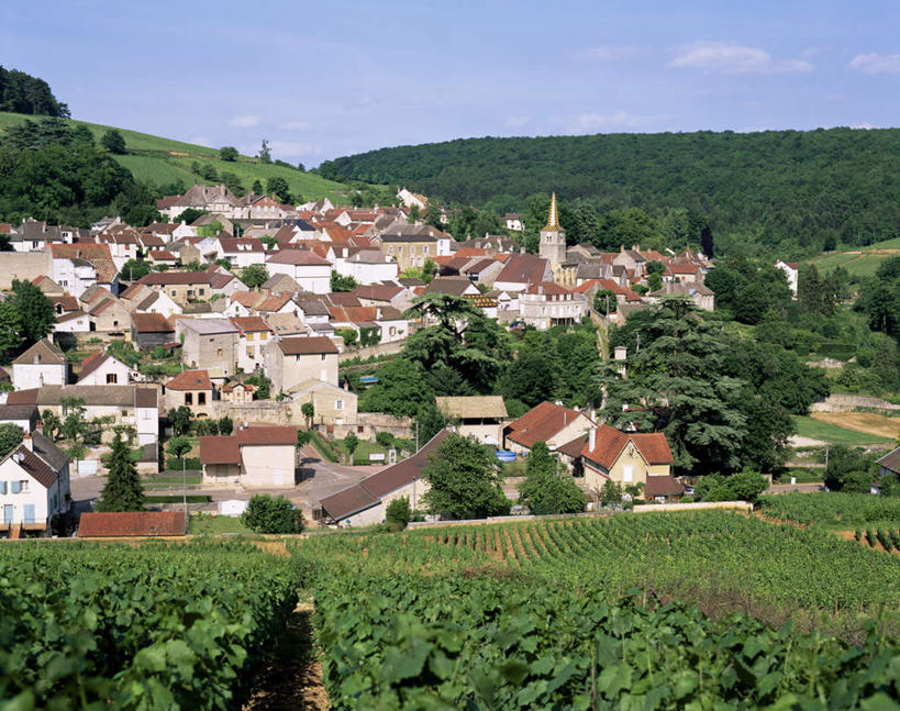 无人,家,果园,横图,俯视,室外,白天,旅游,度假,美景,田园,法国,欧洲,一排,许多,阴影,整齐,光线,影子,房屋,屋子,景观,很多,娱乐,楼房,葡萄园,住宅,排列,蓝色,绿色,蓝天,天空,阳光,自然,庄园,天,享受,休闲,景色,放松,晴朗,勃艮第,队列,自然风光,万里无云,法兰西共和国,法兰西第五共和国,勃艮第大区,晴空,晴空万里,彩图,高角度拍摄,房子