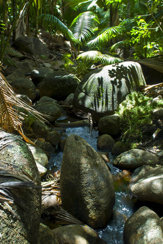 无人,竖图,俯视,室外,白天,旅游,度假,草地,草坪,河流,石头,美景,水,植物,非洲,塞舌尔,阴影,波纹,光线,石子,影子,河水,景观,水流,涟漪,娱乐,草,树,树木,绿色,倒影,水纹,小溪,阳光,自然,波浪,溪水,享受,休闲,景色,放松,生长,成长,倒映,自然风光,塞舌尔共和国,水晕,阿非利加洲,东非,反照,普拉斯林岛,石块,岩石,彩图,高角度拍摄