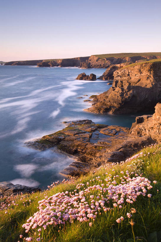 无人,竖图,俯视,室外,白天,长时间曝光,旅游,度假,海浪,海洋,花海,花圃,石头,美景,沙滩,植物,叶子,英国,欧洲,阴影,朦胧,模糊,盛开,光线,沙子,石子,影子,海岸,景观,浪花,沙地,花蕾,娱乐,英格兰,花,花瓣,花朵,花卉,鲜花,蓝色,绿色,蓝天,天空,阳光,自然,海水,花丛,花束,花田,天,花苞,花蕊,享受,休闲,景色,放松,晴朗,西欧,自然风光,大不列颠,曝光,海景,大不列颠及北爱尔兰联合王国,万里无云,大不列颠联合王国,日不落英帝国,英吉利,怜悯,同情,暴光,海石竹,大海,风浪,海,海水的波动,海滩,近岸浪,石块,岩石,涌浪,晴空,晴空万里,彩图,高角度拍摄