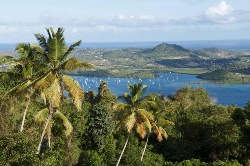 帆船,无人,家,横图,俯视,室外,白天,旅游,度假,山,山脉,植物,雾,船,棕榈树,叶子,法国,欧洲,许多,朦胧,模糊,房屋,屋子,山峰,绿叶,山峦,娱乐,楼房,住宅,树,树木,排列,绿色,自然,交通工具,群山,享受,休闲,嫩叶,放松,生长,成长,迷雾,载具,棕榈叶,法兰西共和国,法兰西第五共和国,摆列,马提尼克,马提尼克岛,叶,叶片,大雾,彩图,高角度拍摄,房子,布列,分列