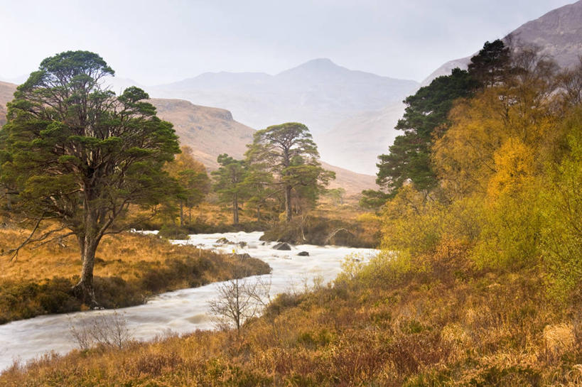 无人,横图,室外,白天,正面,旅游,度假,草地,草坪,河流,美景,秋季,山,山脉,水,植物,瑞典,欧洲,阴影,光线,影子,河水,景观,山峰,水流,云,云朵,山峦,云彩,娱乐,草,树,树木,蓝色,绿色,白云,蓝天,天空,阳光,自然,群山,天,享受,休闲,景色,放松,生长,晴朗,成长,斯堪的纳维亚,自然风光,北欧,斯堪的纳维亚半岛,首府,瑞典王国,西曼兰省,韦斯特罗斯,晴空,秋,秋天,彩图