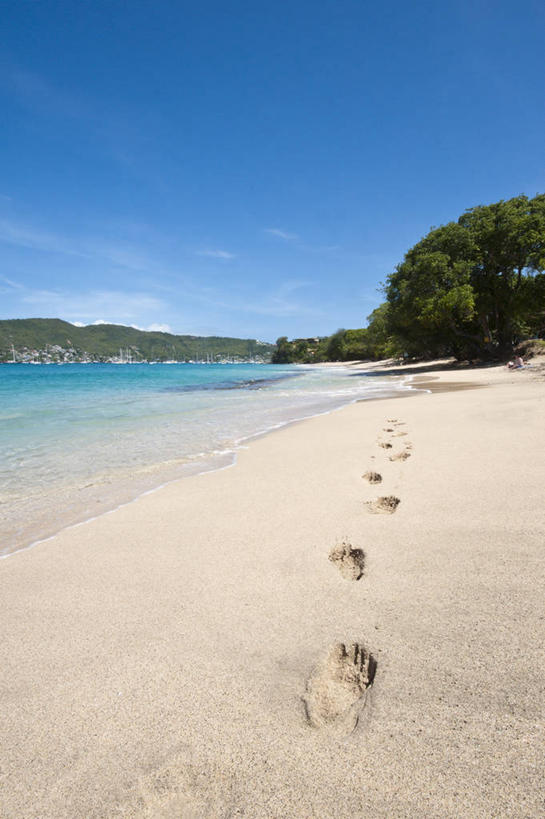 无人,竖图,室外,白天,正面,旅游,度假,岛屿,海浪,海洋,美景,沙滩,植物,一排,脚印,阴影,整齐,光线,沙子,影子,岛,海岸,景观,浪花,云,云朵,沙地,云彩,娱乐,树,树木,排列,蓝色,绿色,白云,蓝天,天空,阳光,自然,海水,天,享受,休闲,景色,南美,放松,生长,晴朗,成长,南美洲,西印度群岛,拉丁美洲,队列,自然风光,美洲,海景,亚美利加洲,南亚美利加洲,格林纳丁斯,圣文森特,贝基亚岛,大海,风浪,海,海水的波动,海滩,近岸浪,列岛,群岛,涌浪,诸岛,晴空,彩图