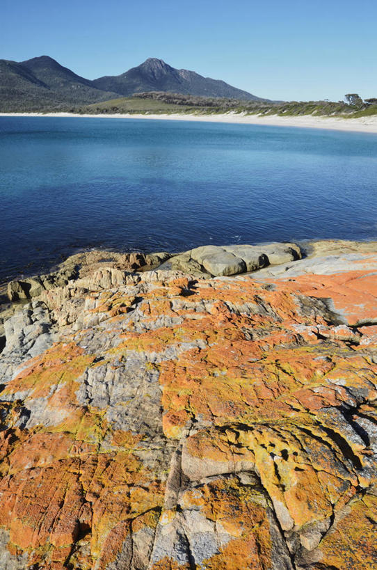 无人,公园,竖图,室外,白天,正面,旅游,度假,海浪,海洋,石头,美景,沙滩,山,山脉,植物,澳大利亚,阴影,光线,沙子,石子,影子,海岸,景观,浪花,山顶,山峰,沙地,山峦,娱乐,树,树木,蓝色,绿色,蓝天,天空,阳光,自然,海水,群山,天,享受,休闲,景色,放松,生长,晴朗,成长,国家公园,自然风光,大洋洲,塔斯马尼亚,澳洲,海景,沉积岩,万里无云,南方大陆,澳大利亚联邦,塔斯马尼亚州,颠峰,极峰,水成岩,菲欣纳国家公园,大海,风浪,海,海水的波动,海滩,近岸浪,石块,岩石,涌浪,晴空,晴空万里,彩图