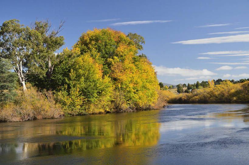 无人,横图,室外,白天,正面,旅游,度假,河流,美景,森林,树林,水,植物,澳大利亚,阴影,光线,影子,河水,景观,水流,云,云朵,云彩,娱乐,树,树木,蓝色,绿色,白云,倒影,蓝天,天空,阳光,自然,天,享受,休闲,景色,放松,生长,晴朗,成长,倒映,自然风光,大洋洲,塔斯马尼亚,澳洲,南方大陆,澳大利亚联邦,塔斯马尼亚州,反照,晴空,彩图