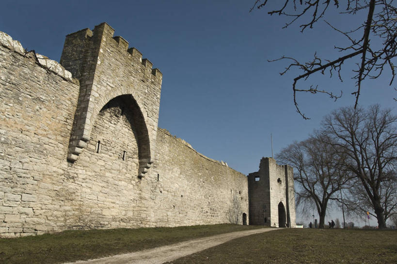 无人,家,横图,室外,白天,仰视,旅游,度假,草地,草坪,名胜古迹,植物,标志建筑,地标,建筑,瑞典,欧洲,阴影,遗迹,光线,影子,堡垒,城堡,房屋,屋子,古迹,文物,娱乐,建设,古建筑,楼房,住宅,草,树,树木,蓝色,绿色,蓝天,天空,阳光,自然,天,享受,休闲,旅游胜地,放松,生长,晴朗,成长,斯堪的纳维亚,要塞,北欧,斯堪的纳维亚半岛,古文明,万里无云,哥得兰岛,哥得兰省,哥特兰,哥特兰省,瑞典王国,设防,晴空,晴空万里,彩图,低角度拍摄,房子