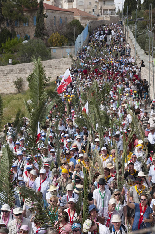 西方人,站,竖图,俯视,室外,白天,民族服装,度假,草地,草坪,美景,山,山脉,植物,城市风光,城市,旗帜,国旗,欧洲,巴勒斯坦,欧洲人,亚洲,行人,握,阴影,节日,光线,影子,景观,山峰,山峦,首都,许多人,注视,文化,娱乐,路人,草,树,树木,蓝色,绿色,蓝天,天空,阳光,自然,群山,天,观察,看,祈祷,站着,一群人,享受,休闲,健康,景色,放松,握着,许愿,宗教,信仰,生长,晴朗,成长,观看,纪念,祈求,察看,关注,西亚,游行,万里无云,游街,巴勒斯坦国,耶路撒冷,过客,橄榄山,平安,男人,男性,女人,女性,中年男性,中年女性,白种人,旗,晴空,晴空万里,站立,半身,彩图,高角度拍摄,传统服装,民俗服