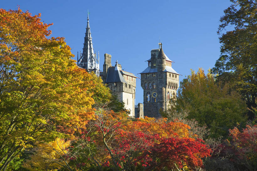 无人,横图,室外,白天,仰视,旅游,度假,名胜古迹,森林,树林,植物,标志建筑,地标,建筑,枫树,英国,欧洲,阴影,遗迹,光线,影子,堡垒,城堡,古迹,文物,娱乐,建设,古建筑,树,树木,蓝色,绿色,蓝天,天空,阳光,自然,天,享受,休闲,旅游胜地,放松,生长,晴朗,成长,西欧,要塞,大不列颠,威尔士,古文明,大不列颠及北爱尔兰联合王国,万里无云,首府,槭树,日本红枫,日本红丝带,大不列颠联合王国,日不落英帝国,威尔士公国,设防,加的夫,加的夫城堡,晴空,晴空万里,彩图,低角度拍摄