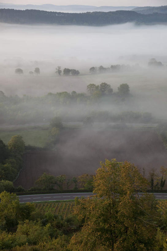 无人,竖图,俯视,航拍,室外,白天,旅游,度假,草地,草坪,美景,山,山脉,植物,雾,法国,欧洲,朦胧,模糊,景观,山峰,山峦,娱乐,草,树,树木,绿色,自然,群山,享受,休闲,景色,放松,生长,成长,迷雾,勃艮第,鸟瞰,自然风光,法兰西共和国,法兰西第五共和国,勃艮第大区,大雾,彩图,高角度拍摄