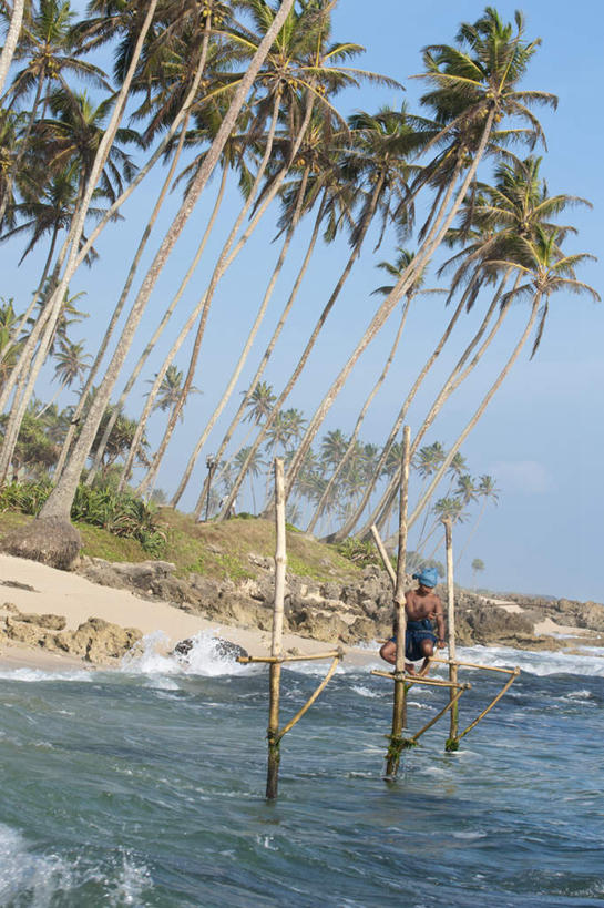 东方人,一个人,站,竖图,室外,白天,旅游,度假,海浪,海洋,美景,沙滩,植物,棕榈树,鸟,叶子,斯里兰卡,亚洲,仅一个男性,仅一个人,仅一个中年男性,握,阴影,服装,光线,鸟类,沙子,影子,海岸,景观,浪花,绿叶,沙地,注视,休闲装,娱乐,树,树木,背面,衣服,蓝色,绿色,蓝天,天空,阳光,自然,海水,天,观察,看,站着,享受,休闲,休闲服,嫩叶,景色,放松,握着,服饰,生长,晴朗,成长,观看,察看,黑颈长脚鹬,关注,自然风光,南亚,海景,棕榈叶,长脚鹬,万里无云,斯里兰卡民主社会主义共和国,黑翅长脚鹬,男人,男性,中年男性,亚洲人,叶,叶片,大海,风浪,海,海水的波动,海滩,近岸浪,涌浪,晴空,晴空万里,站立,彩图,全身