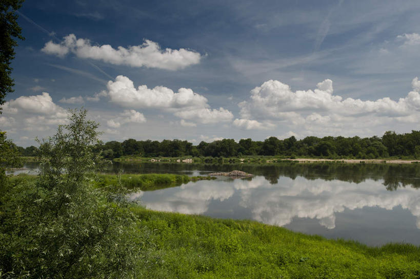 无人,横图,室外,白天,正面,旅游,度假,草地,草坪,河流,美景,森林,树林,水,植物,德国,欧洲,阴影,光线,影子,河水,景观,水流,云,云朵,云彩,娱乐,草,树,树木,蓝色,绿色,白云,蓝天,天空,阳光,自然,天,享受,休闲,景色,放松,生长,晴朗,成长,西欧,自然风光,德意志联邦共和国,易北河,萨克森州,萨克森自由州,晴空,彩图,拉贝河