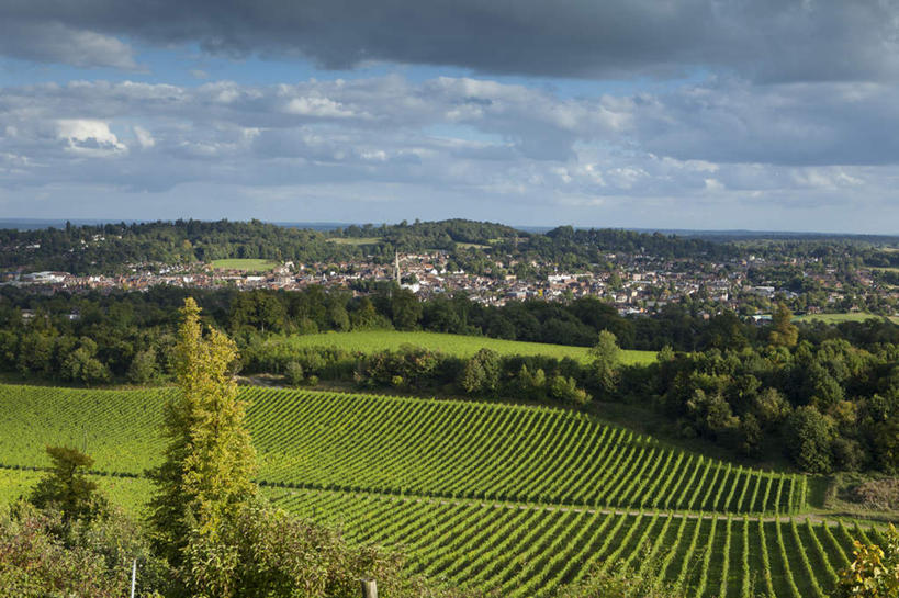 无人,家,农田,横图,俯视,室外,白天,旅游,度假,庄稼,农作物,美景,山,山脉,树林,植物,英国,欧洲,阴影,光线,纹路,纹理,影子,房屋,屋子,地平线,景观,山峰,云,云朵,公寓,辽阔,地面,山峦,云彩,娱乐,洋房,楼房,英格兰,住宅,树,树木,蓝色,绿色,白云,蓝天,天空,阳光,自然,群山,天,享受,休闲,广阔,景色,放松,生长,晴朗,成长,一望无际,西欧,自然风光,延伸,大不列颠,大不列颠及北爱尔兰联合王国,肌理,天地相交,大不列颠联合王国,日不落英帝国,无边无际,一马平川,萨里,萨里郡,晴空,彩图,高角度拍摄,耕地,庄稼田,房子
